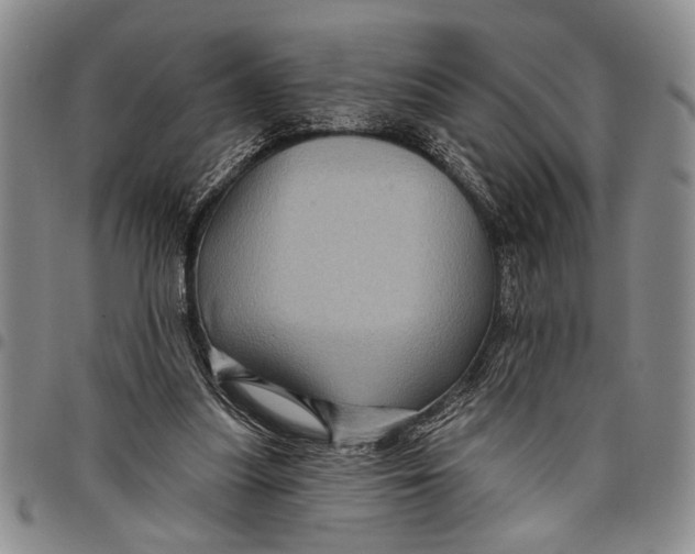 X0000097970251200804141100