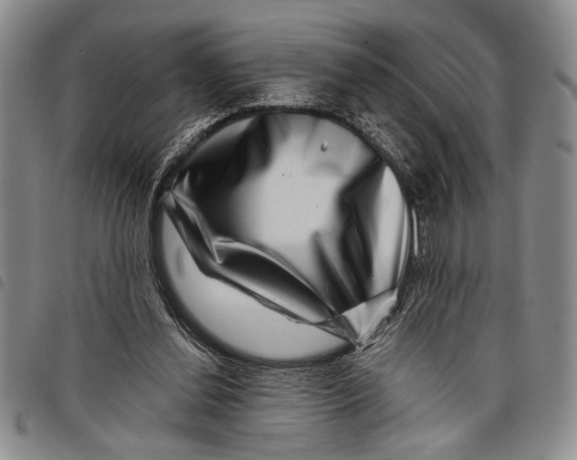 X0000097970252200804141100