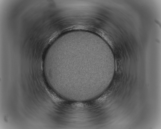X0000097970253200804141100