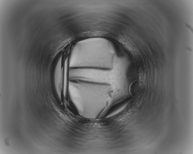 X0000097970254200804141100