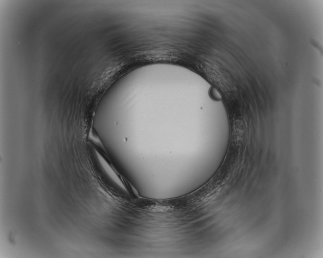 X0000097970255200804141100