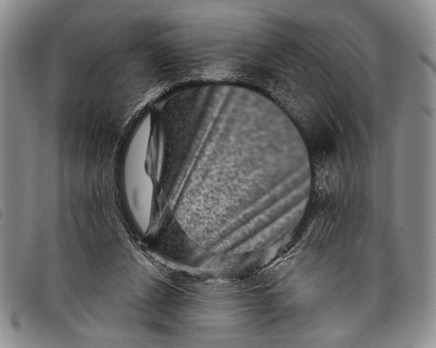X0000097970256200804141100