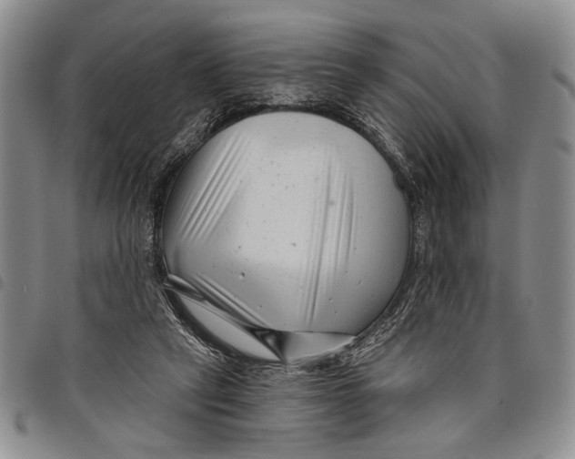 X0000097970257200804141100