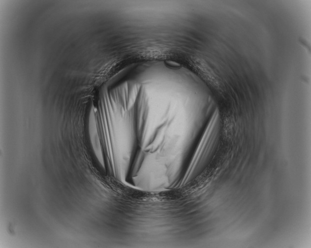 X0000097970259200804141100