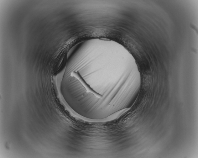 X0000097970260200804141100