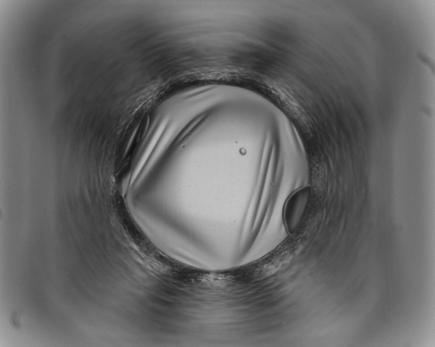 X0000097970261200804141100