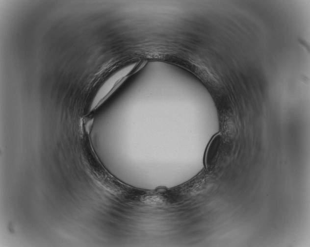 X0000097970262200804141100