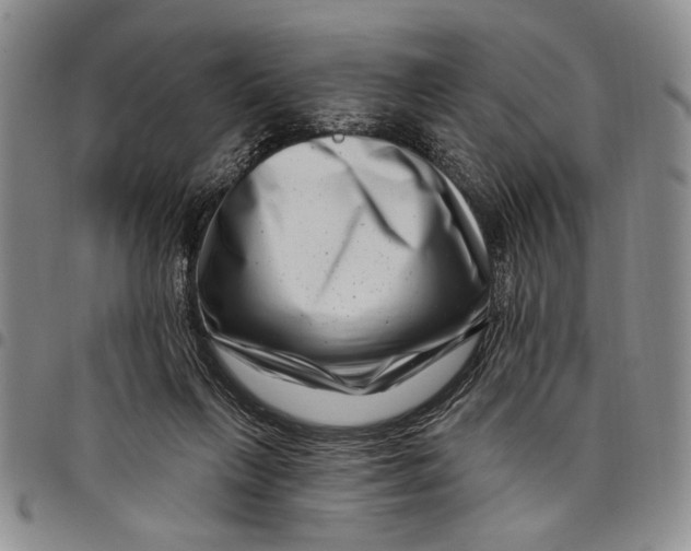 X0000097970263200804141100