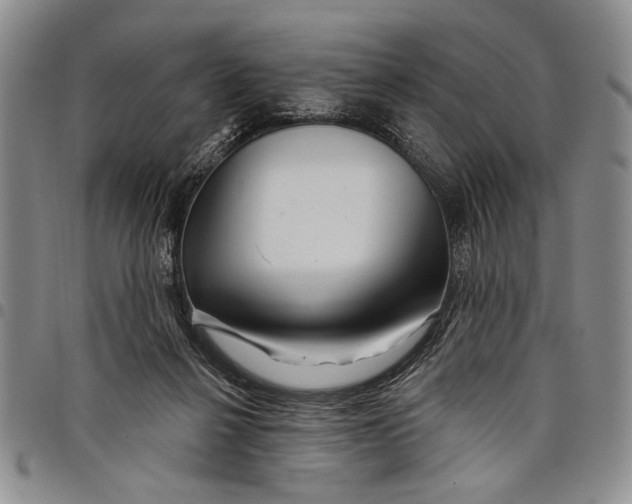 X0000097970264200804141100