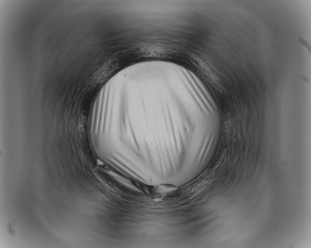 X0000097970265200804141100