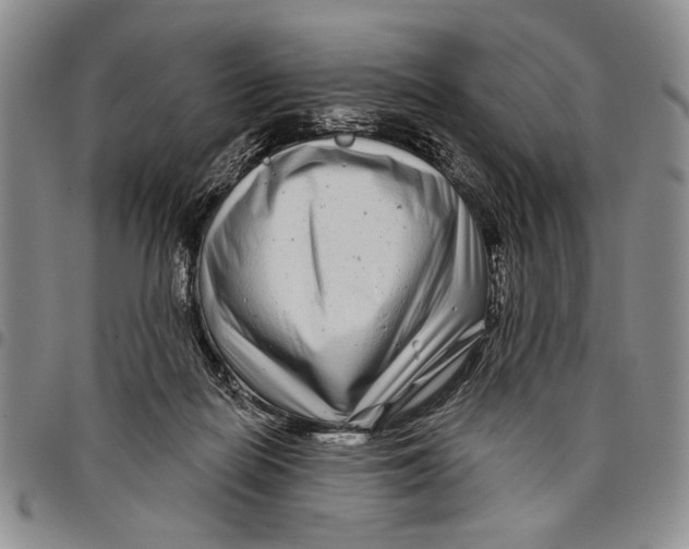 X0000097970266200804141100
