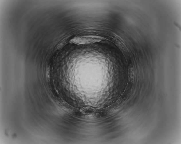 X0000097970267200804141100