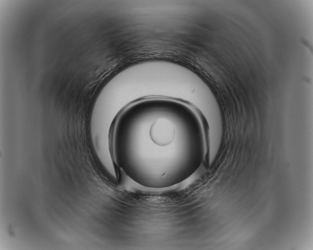 X0000097970268200804141100