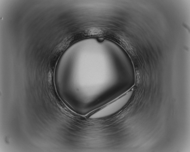 X0000097970269200804141100