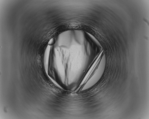 X0000097970270200804141100