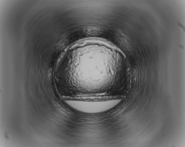 X0000097970271200804141100