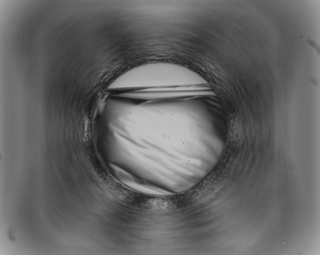 X0000097970272200804141100