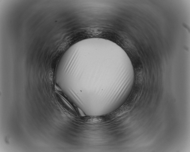 X0000097970274200804141100