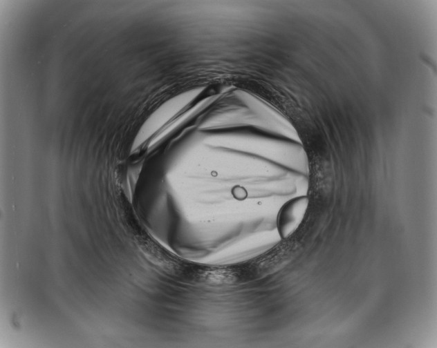 X0000097970275200804141100