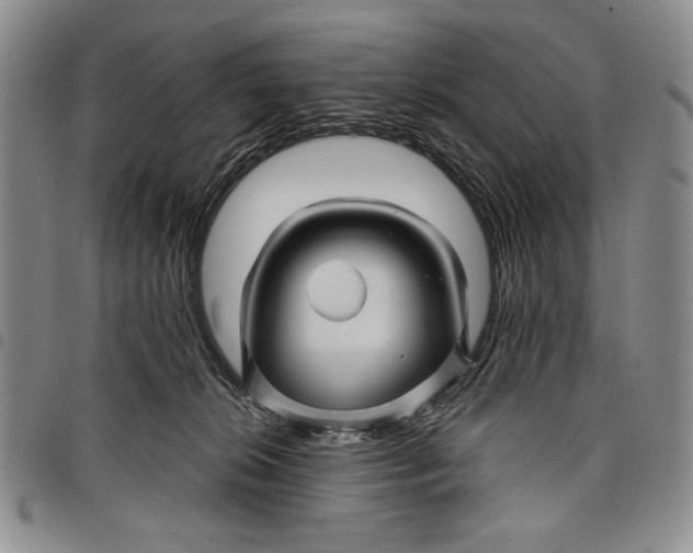 X0000097970276200804141100