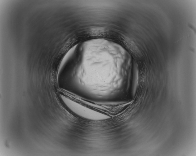 X0000097970277200804141100