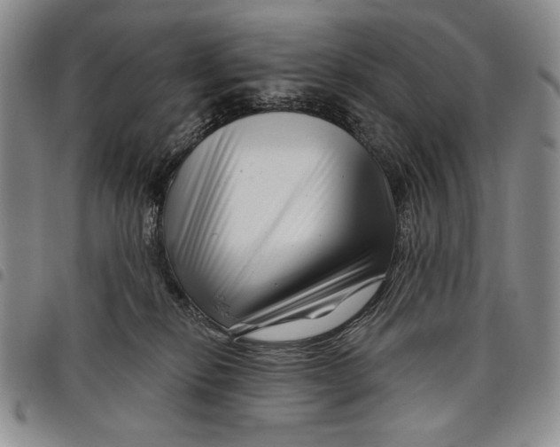 X0000097970278200804141100
