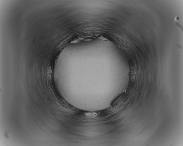 X0000097970279200804141100