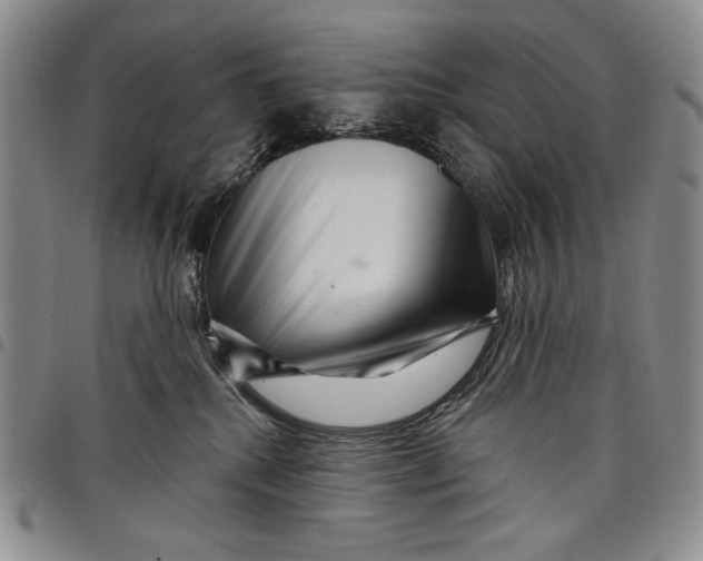 X0000097970280200804141100