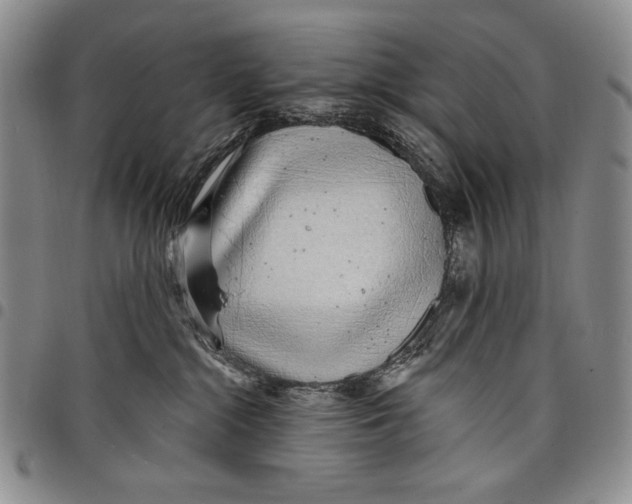 X0000097970284200804141100