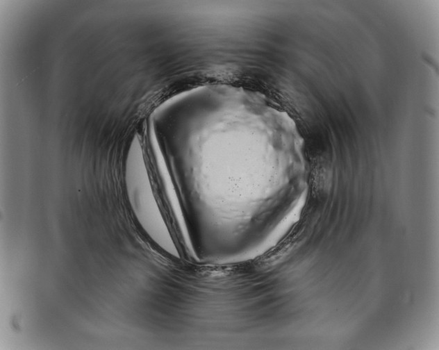 X0000097970285200804141100