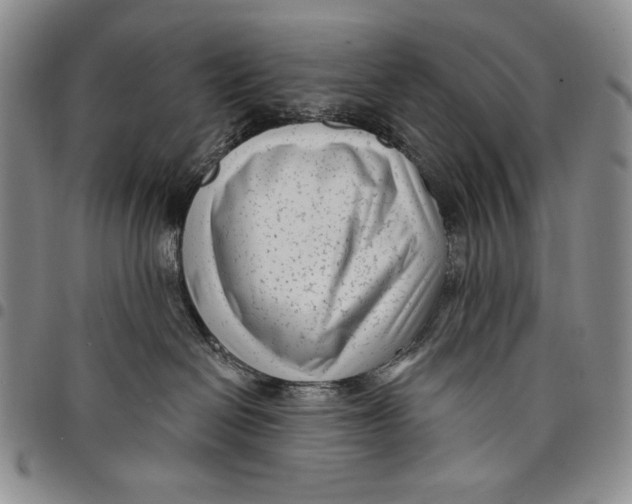 X0000097970286200804141100