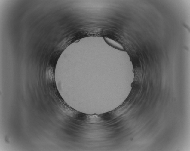 X0000097970287200804141100