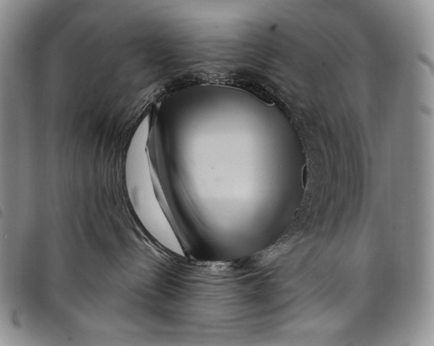 X0000097970288200804141100