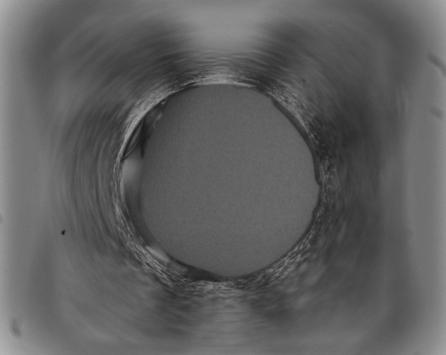 X0000097970289200804141059