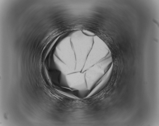 X0000097970290200804141059