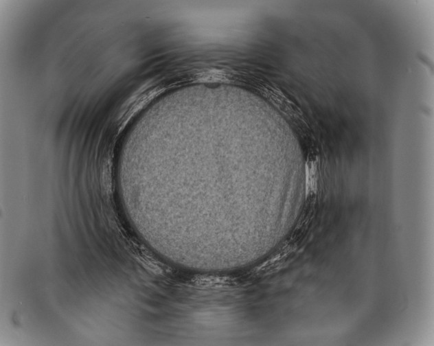X0000097970291200804141059