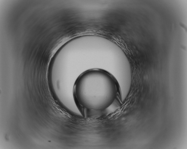 X0000097970292200804141059