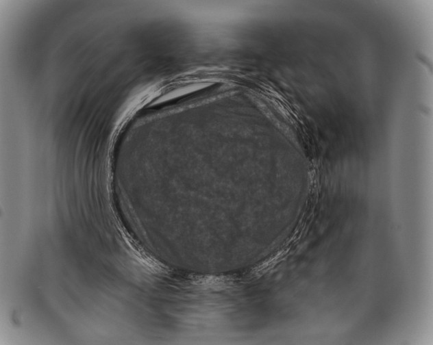 X0000097970293200804141059