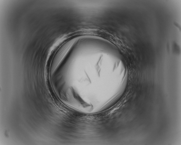 X0000097970294200804141059