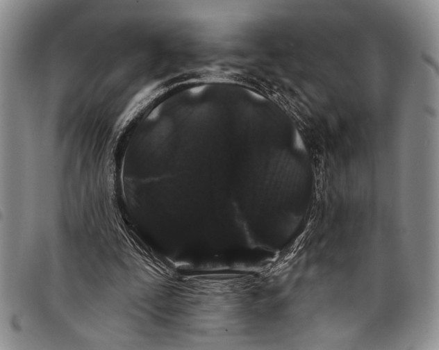 X0000097970295200804141059