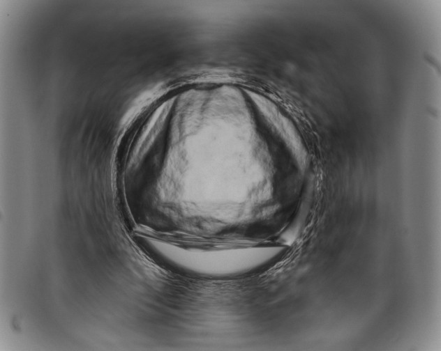 X0000097970296200804141059