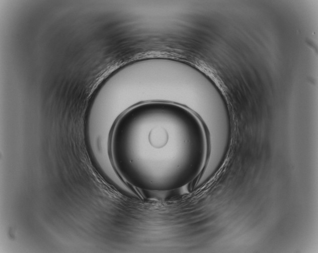 X0000097970297200804141059