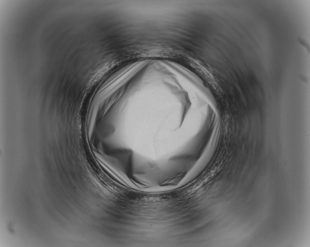 X0000097970298200804141059