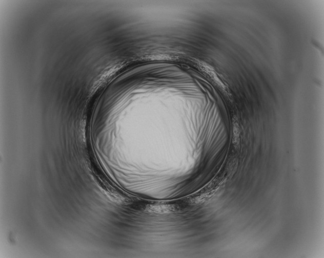 X0000097970299200804141059