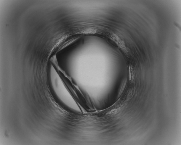 X0000097970300200804141059