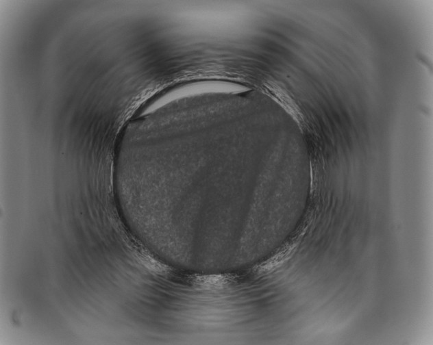 X0000097970301200804141059