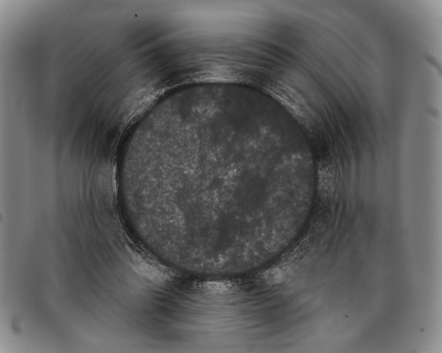 X0000097970302200804141059