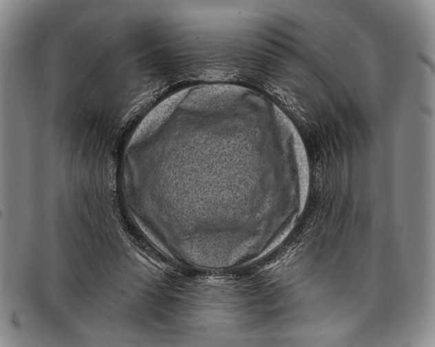 X0000097970303200804141059