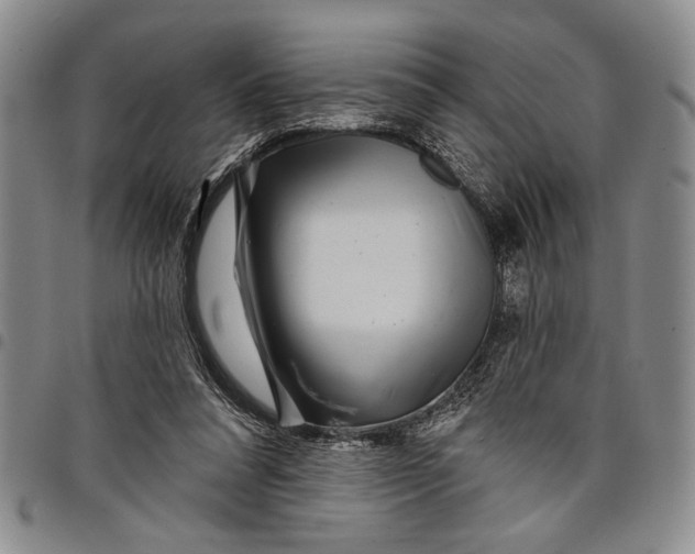 X0000097970304200804141059