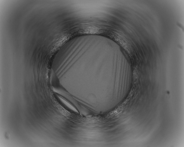 X0000097970305200804141059